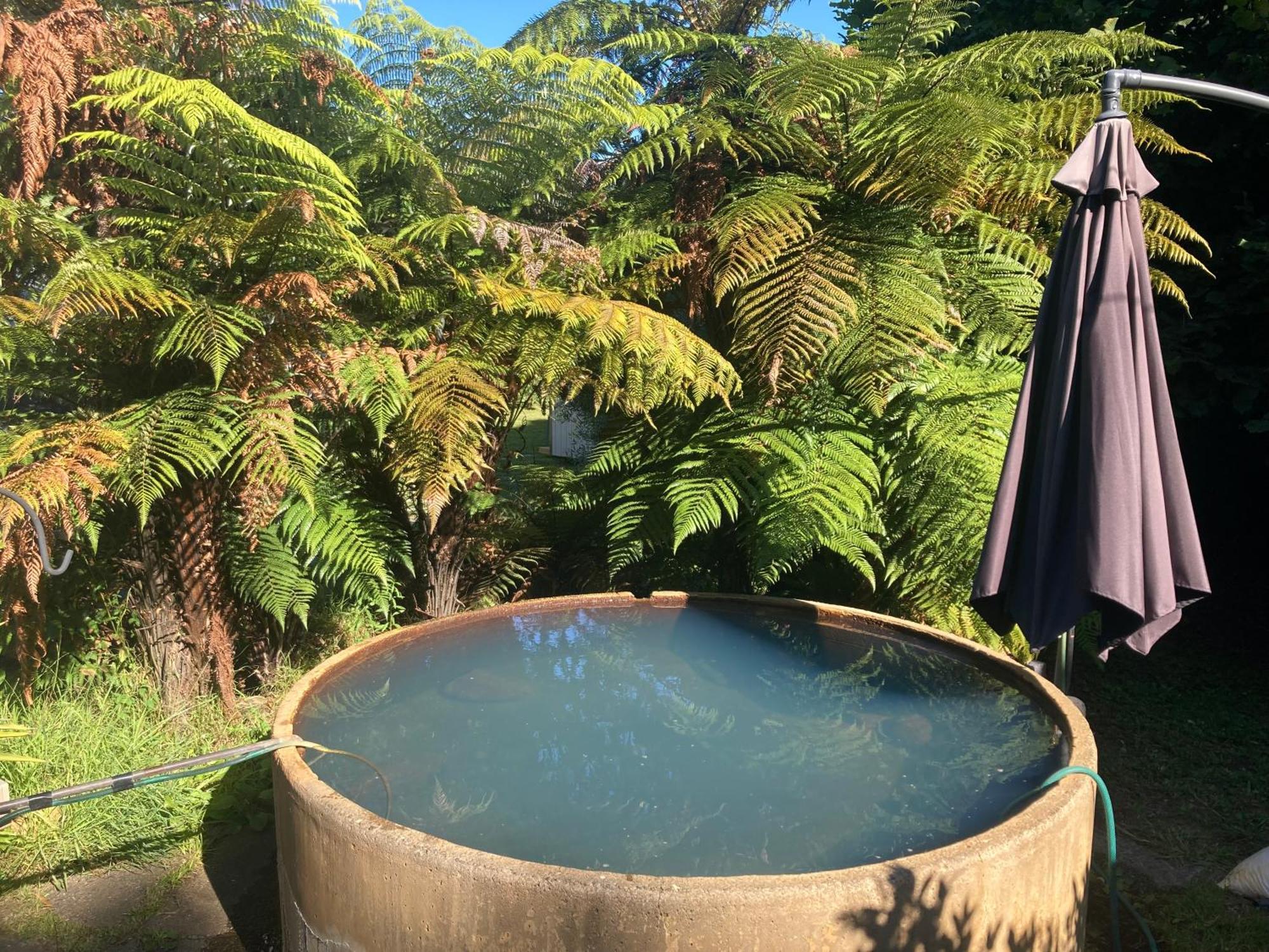 Whare&Geothermal Pool By Lake Taupo Turangi Exterior foto